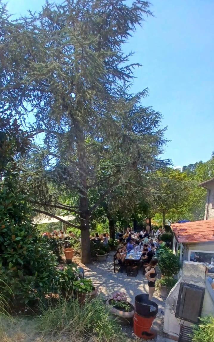 Ala Di Maniero In Agriturismo Valdrago In Toscana, Nel Verde Mugello Sulle Colline Di Firenze Borgo San Lorenzo Buitenkant foto