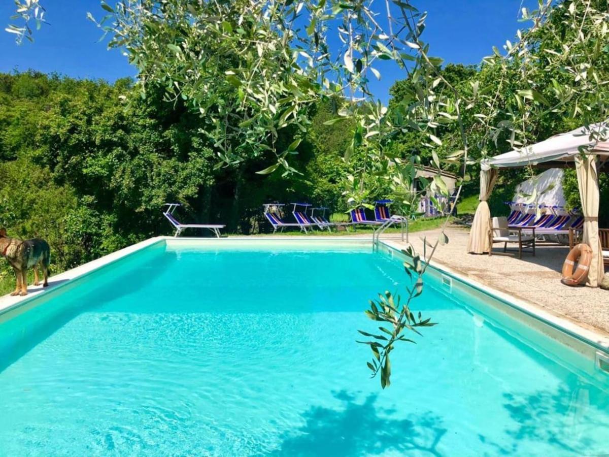 Ala Di Maniero In Agriturismo Valdrago In Toscana, Nel Verde Mugello Sulle Colline Di Firenze Borgo San Lorenzo Buitenkant foto