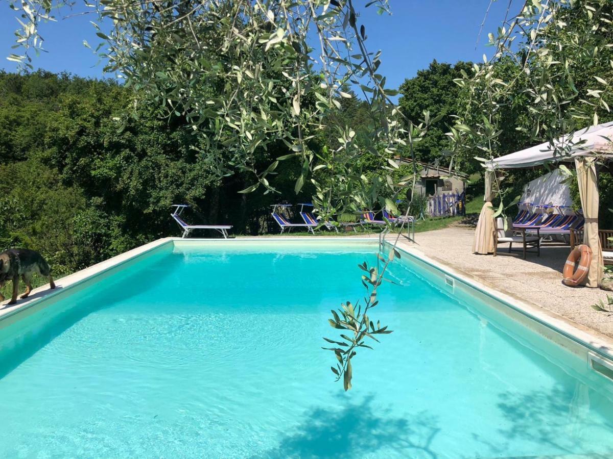 Ala Di Maniero In Agriturismo Valdrago In Toscana, Nel Verde Mugello Sulle Colline Di Firenze Borgo San Lorenzo Buitenkant foto